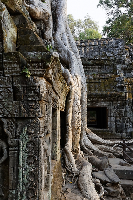 Ta Phrom et environs-176
